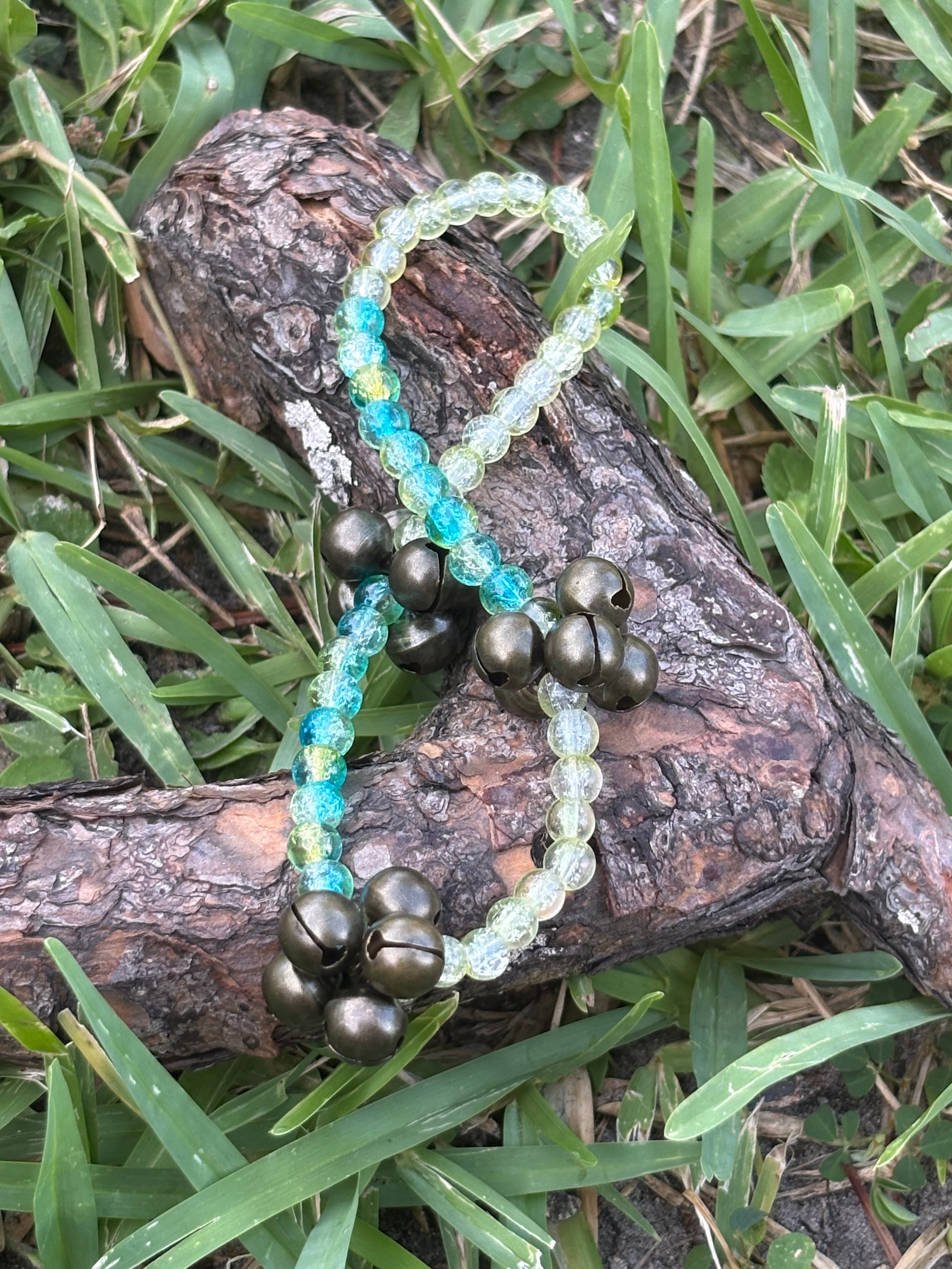 Thick one Rich one Anklet